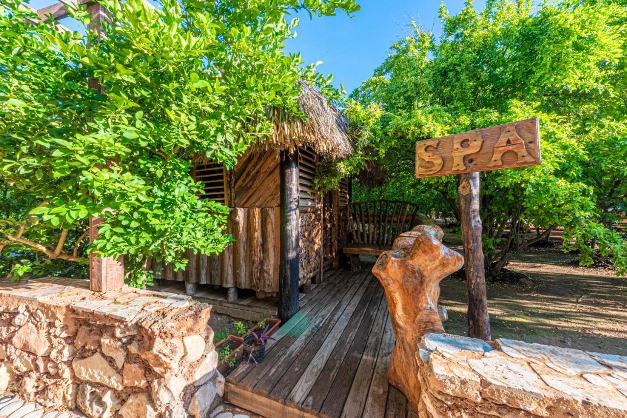 Vista De Aguilas Ecolodge 페데르날레스 외부 사진